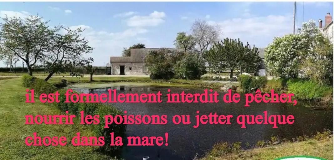 Gite Chez Jeannot Azay-le-Ferron Eksteriør bilde